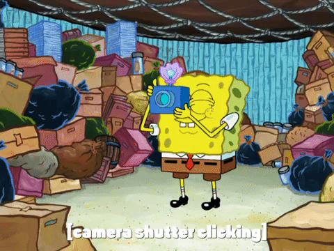 season 8 episode 3 GIF by SpongeBob SquarePants