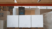 GIF by Blue Mountain