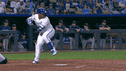 Yell Lets Go GIF by Kansas City Royals
