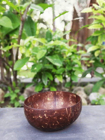 paulocarvalho4761 giphygifmaker GIF