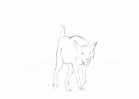 Animation Dog GIF by dan.bahia.dan