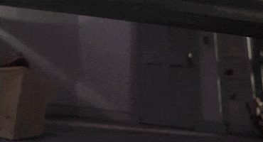 Whats Up Animation GIF by LAIKA Studios
