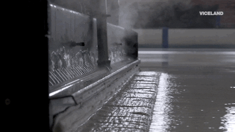 viceland GIF by VICE WORLD OF SPORTS