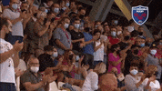 Fans Applause GIF by FCG Rugby