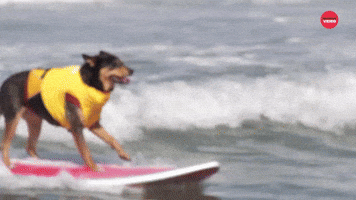 Anastasia Ashley Surf GIF by FHM