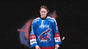 NewcastleNorthstars aihl northstars newcastlenorthstars GIF