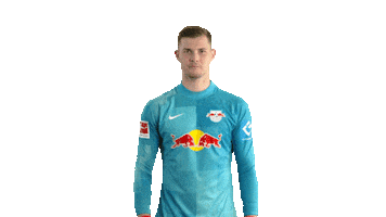 The Wall Football Sticker by RB Leipzig