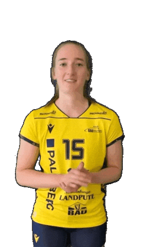 Schwerinersc Sticker by SSCPalmbergSchwerin