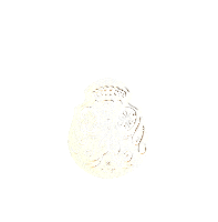 playapadremarbella skull calavera marbella playapadre Sticker