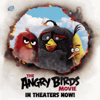 chuck burning GIF by Angry Birds