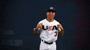 Pro GIF by USA Baseball