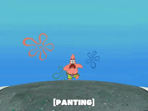 season 6 GIF by SpongeBob SquarePants