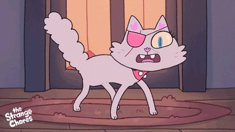 Angry Cat GIF by Ludo Studio