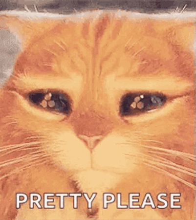 Puss In Boots Cute Cat GIF