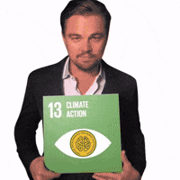 ecobrainambiental consultoria ecobrainambiental universoecobrain ecobrain GIF