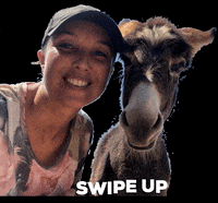 Curacao Swipe Up GIF by Pippi's opvang