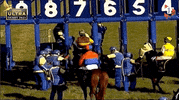 GIF by 1 Play Sports