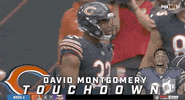 Chicago Bears Football GIF by NFL
