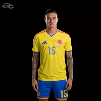 Fifa World Cup Colombia GIF by Respective