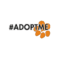 kyhumane adopt adopt me paw print adoptable Sticker