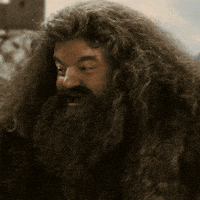 Warner Bros Yes GIF by Harry Potter