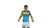 Rugby League Football Sticker by Gold Coast Titans