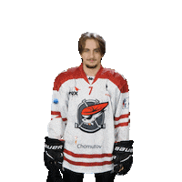 Společně Sticker by Piráti Chomutov