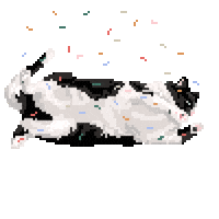 tunatooth cat party celebrate confetti Sticker