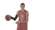 Liga Endesa Basketball Sticker by ACB