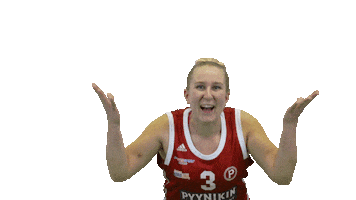 Basketball Hoops Sticker by Basket_fi