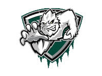 Green Bay Football Sticker by Wisconsin Sportscenter