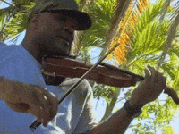 BlackViolinMusic music play playing palm GIF