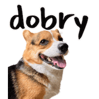Corgi Polish Sticker