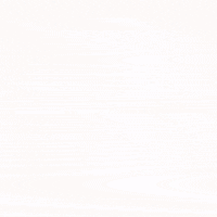 twitter you rock GIF by Winnie Sun