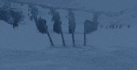 vulture game of thrones ice dragon GIF