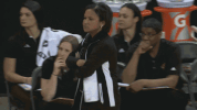 basketball sport GIF by Indiana Fever