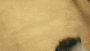 My Son News GIF by Better Noise Music