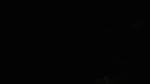 Bite GIF by nikidemar