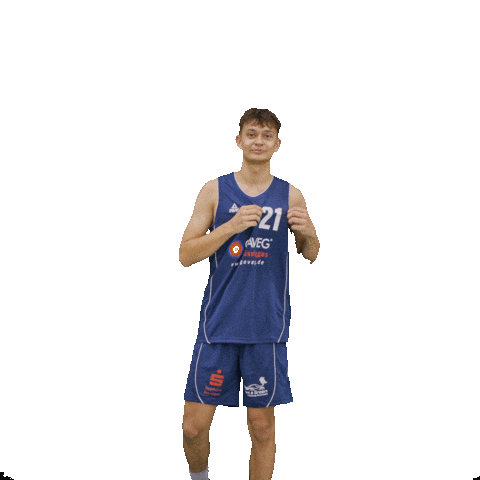 Bensheim Sticker by VfL Basketball