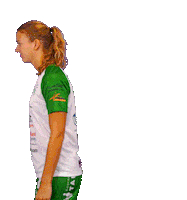 Quintushandball handball eredivisie presentation handbal Sticker