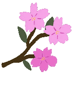 pikkupaperi pink flower cherry blossom Sticker