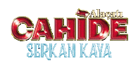 Serkan Kaya Sticker by cahide