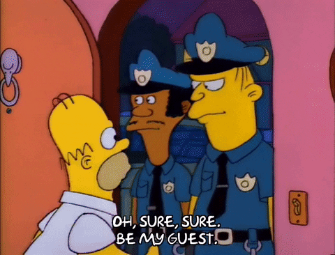 Season 2 Episode 13 GIF by The Simpsons