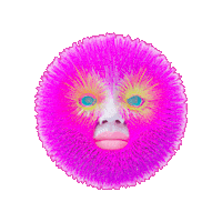 Pink Face Sticker by Anne Horel