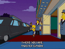 bart simpson episode 3 GIF