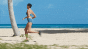 Island Life Run GIF by FOX TV