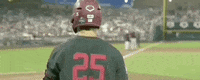 College World Series Baseball GIF by NCAA Championships