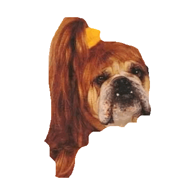 bulldog STICKER by imoji