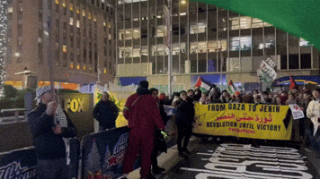 Pro-Palestine Protesters Gather at Rockefeller Center Ahead of Tree Lighting