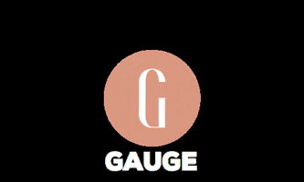 bygauge gauge bygauge GIF